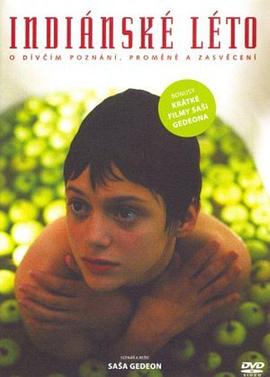 印第安夏日封面图