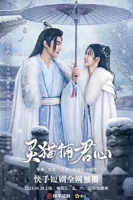 灵猫捕君心封面图