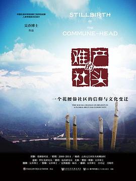 难产的社头：一个花腰傣社区的信仰与文化变迁封面图