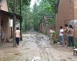 十万八千里封面图