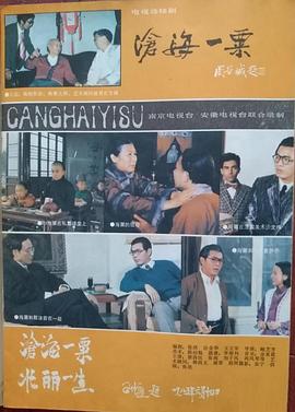 沧海一粟封面图