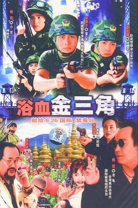浴血金三角封面图