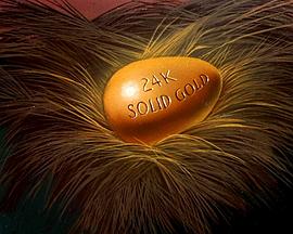 金蛋风波封面图