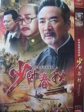 少帅春秋封面图