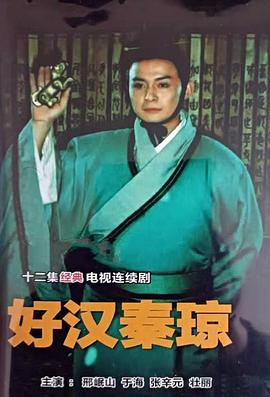 好汉秦琼封面图