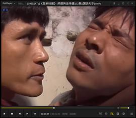 皇家档案封面图