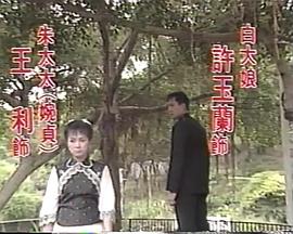 新啼笑姻緣封面图