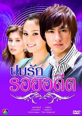 过去的爱情伤痕封面图