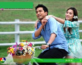 爱的天堂封面图