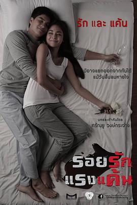 爱恨之巅封面图