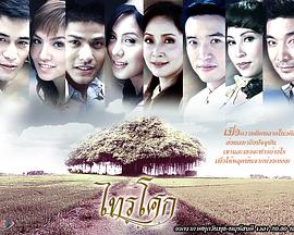 忧郁的菩提树封面图