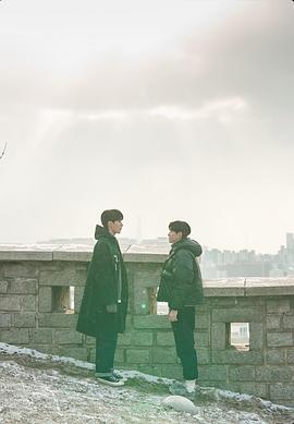 大都市爱情法封面图