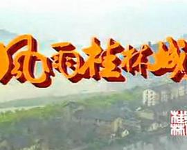 风雨桂林城封面图