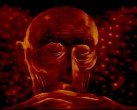 死亡之后封面图