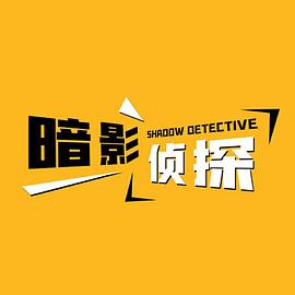 暗影侦探封面图