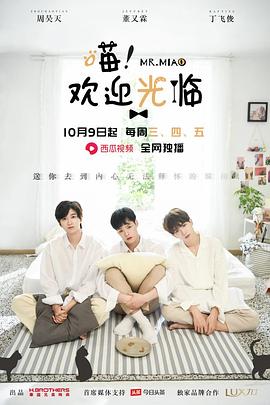 喵欢迎光临封面图