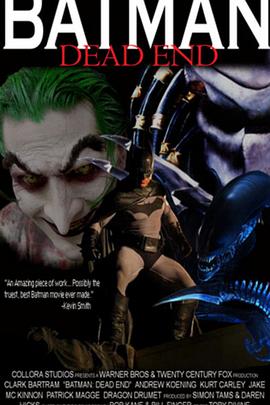 蝙蝠侠：死角封面图