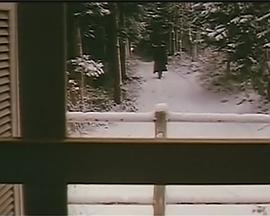 假面的诱惑封面图