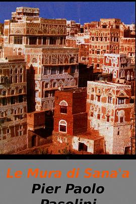 萨那的城墙封面图