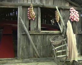 世界最大的影视城: 横店影视城封面图