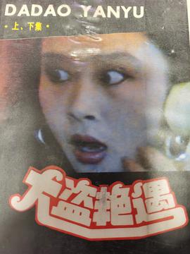 大盗艳遇封面图