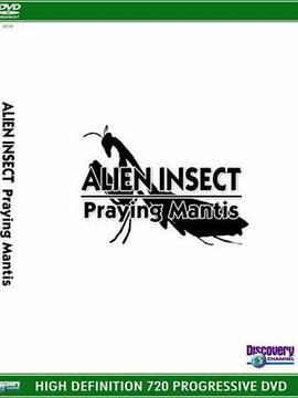 异形昆虫：螳螂封面图