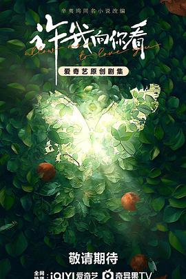 许我向你看封面图