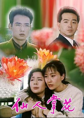 仙人掌花封面图