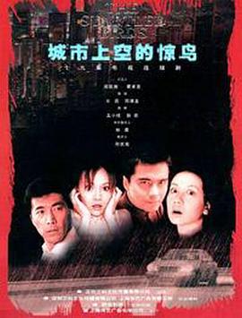 城市上空的惊鸟封面图