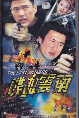 情洒云之南封面图