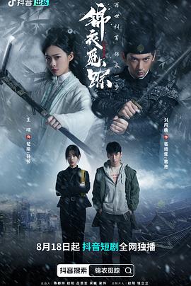 锦衣觅踪封面图