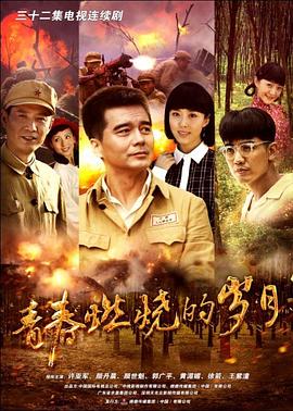 青春燃烧的岁月封面图