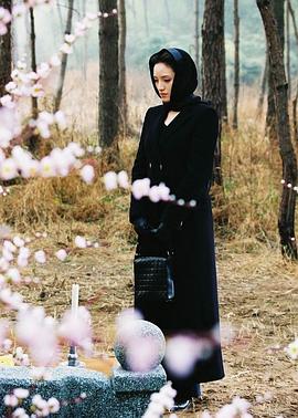 春花秋月封面图