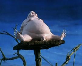 圣人检查员封面图