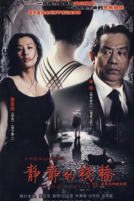 静静的栈桥封面图