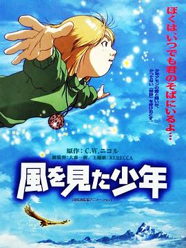 看见风的少年封面图