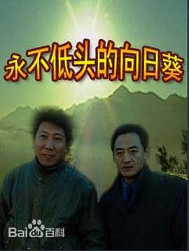 永不低头的向日葵封面图