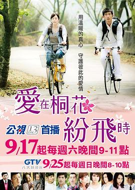 爱在桐花纷飞时封面图