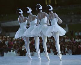 柴科夫斯基 芭蕾舞剧《天鹅湖》封面图