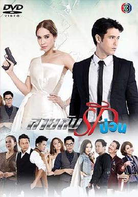 间谍情迷封面图