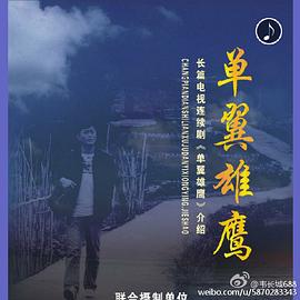 单翼雄鹰封面图