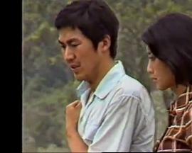 弯弯的石径封面图