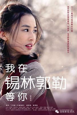 我在锡林郭勒等你封面图