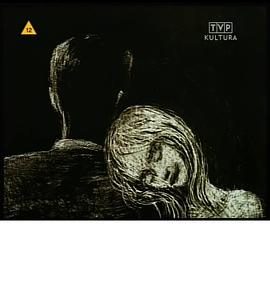 飞扬的秀发封面图