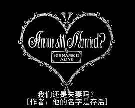 寂静夜2：我们还是夫妻吗？封面图