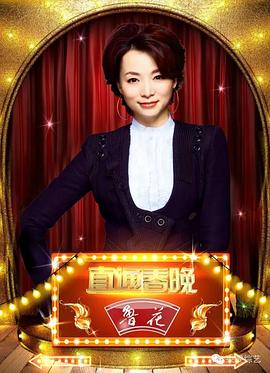 直通春晚2016封面图