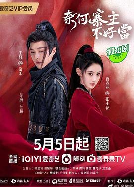 奈何寨主不好当封面图