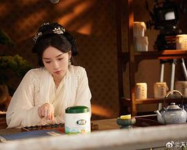 凤落江湖封面图