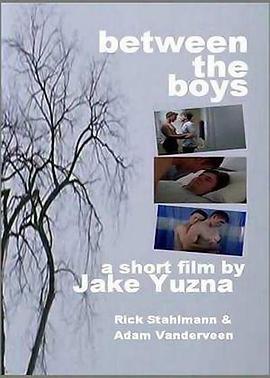 兄弟之间的秘密封面图