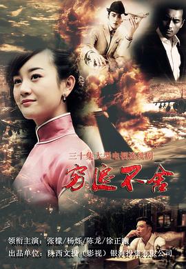 穷追不舍封面图